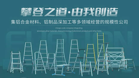 不锈钢梯子十大品牌(不锈钢钢梯和不锈钢爬梯是一样的吗)插图1