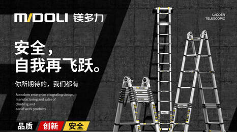 不锈钢梯子十大品牌(不锈钢钢梯和不锈钢爬梯是一样的吗)插图5