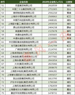 上海大公司排名(上海企业100强)插图5