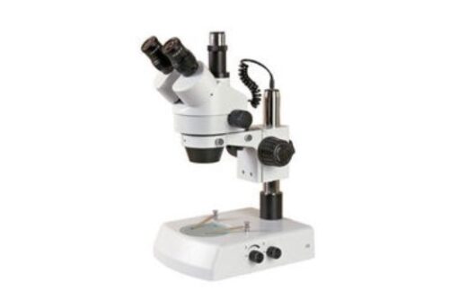 光学显微镜排名前十(光学显微镜厂家排名)插图6