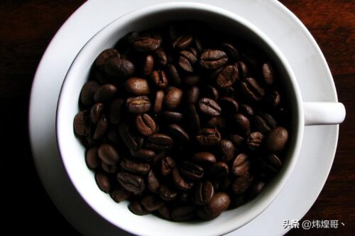 世界十大咖啡豆品牌(世界咖啡豆排行榜前十名)插图2